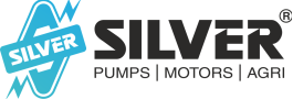 Silver Pumps